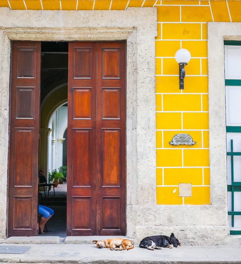 beyond, shorts, wooden, residential district, history, city, yellow, wall, outdoors, architecture, day, building exterior, blue, no people, arch, building