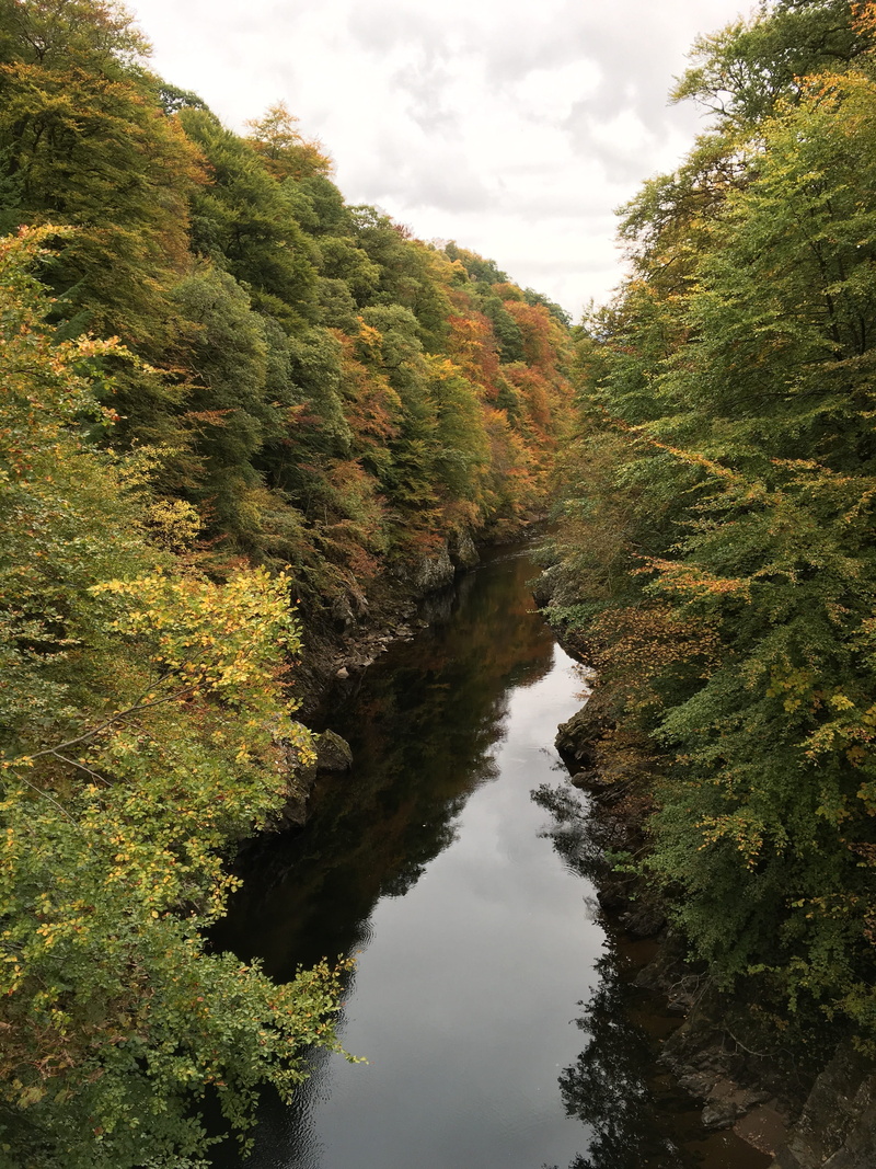 nature, plant, River, tags separated by comma, outdoors, change, tranquil scene, 4K, non-urban scene, water, cloud - sky, growth, scotland, tranquility