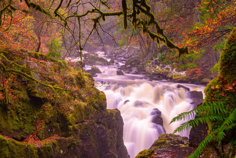 the river bran, Perthshire, Ossians Hall of Mirrors, The Hermitage, autumn, cascade, moss, waterfall, 5K, branches, River Braan, stones, river, Dunkeld