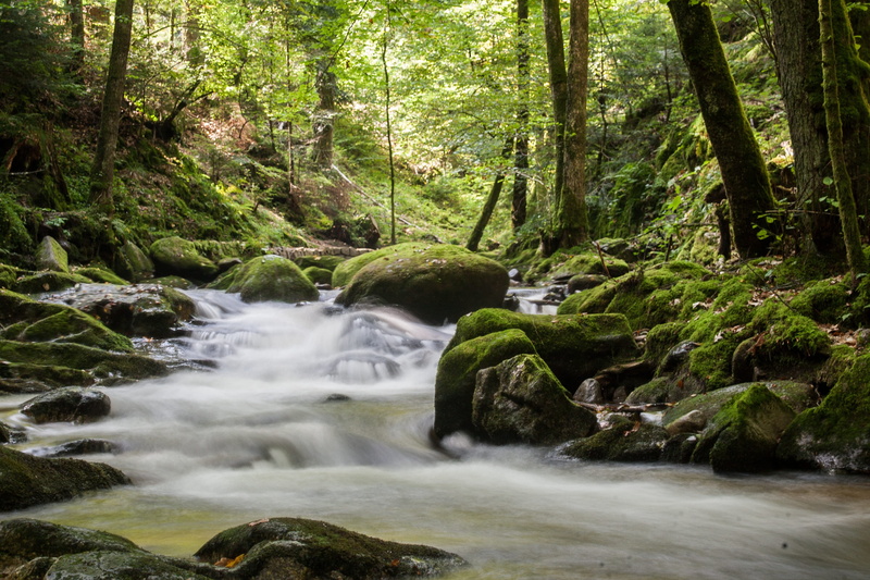 rock - object, nature, plant, green, mood, vegetation, bemoost, blurred motion, long exposure, rainforest, spring, turbulence, forest, motion, beauty in nature