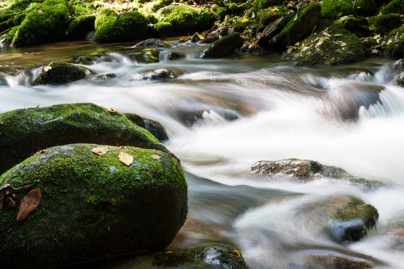 environment, nature, streaming, beauty in nature, rock, scenics, recovery, flowing, water, outdoors, time, flowing water, scenics - nature, relaxation