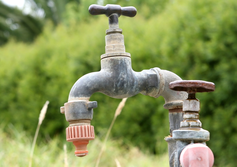 flow, land, faucet, null, no people, nature, water pump, plant, focus on foreground, gardening equipment, turbulent, water, close-up, equipment, tap, outdoors
