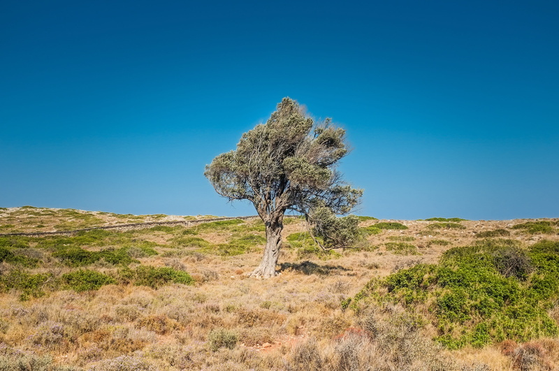 historical, geological, volcanic, spirit, pattern, non-urban scene, wind, beauty in nature, plant, climate, field, sites, arid, semi-arid, dramatic, wilderness