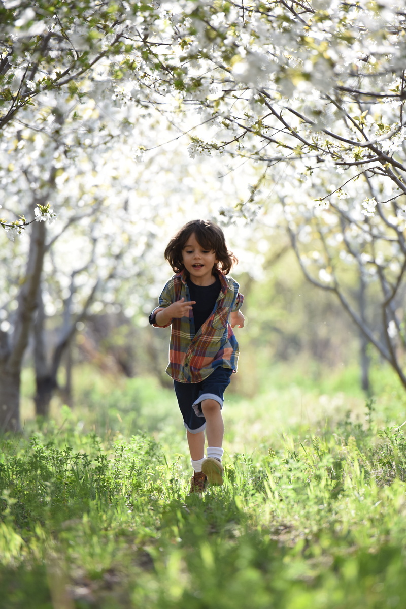 outdoors, flower, kid, young, sunset, person, boy, leisure activity, girls, front view, land, daytime, grass, childhood, little, casual clothing, portrait