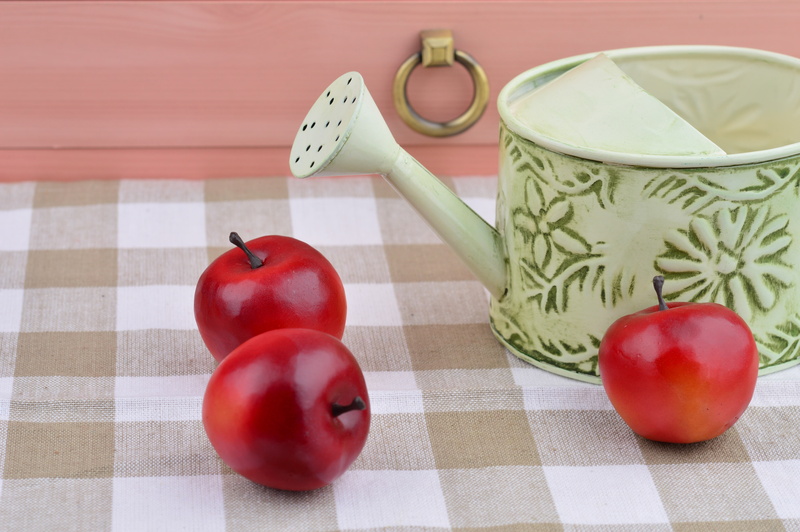 Apple, tablecloth, group of objects, make sprinklers, tomato, red, basket, 5K, dining table, healthy eating, red fruits, no people, checked pattern, photography
