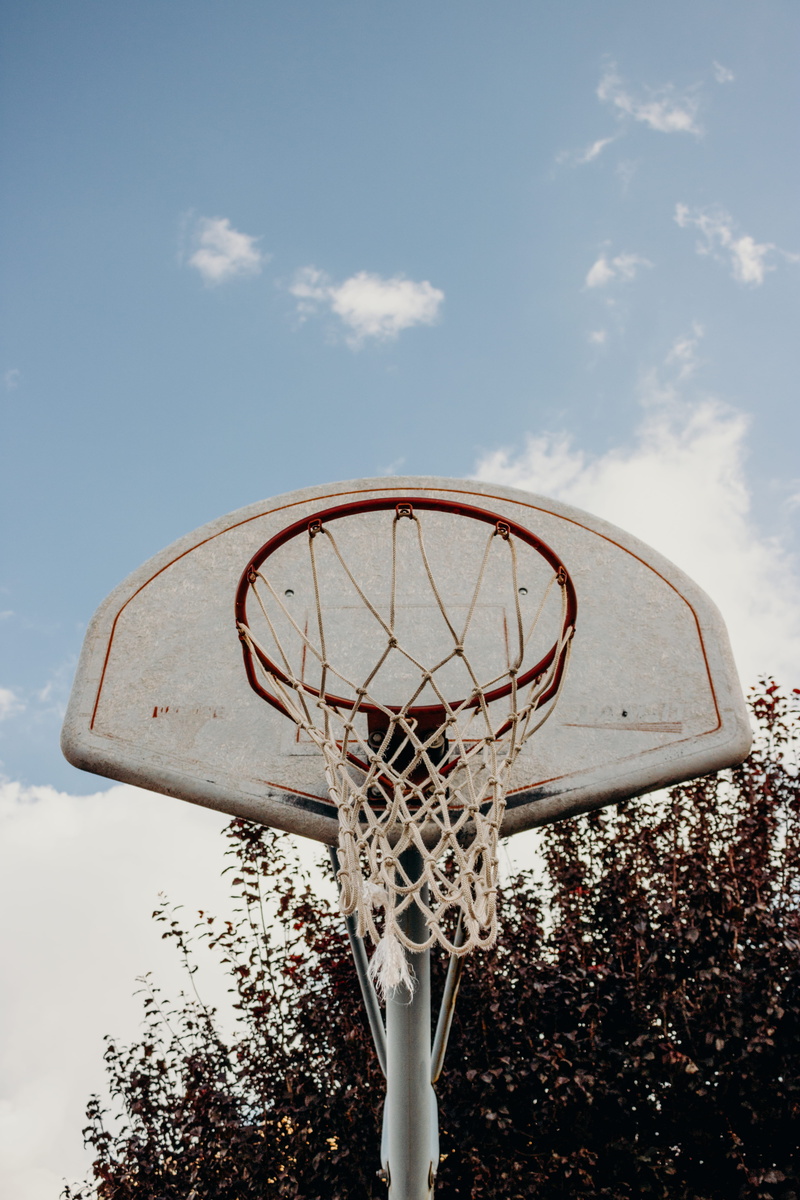 plant, making a basket, net - sports equipment, low angle view, sedona, outdoors, leisure games, team sport, basketball - ball, sky, day, basketball - sport