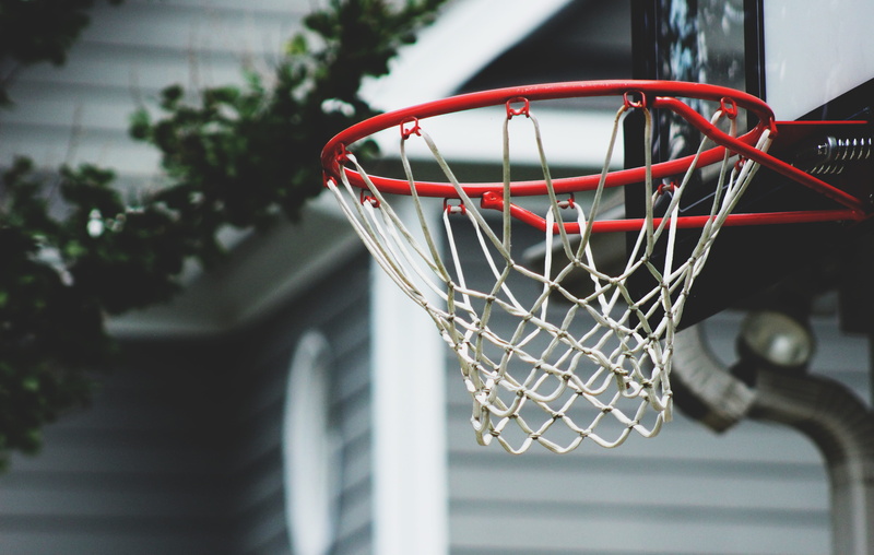 close up, outdoors, white, no people, at the edge of, sports equipment, 5K, net - Sports Equipment, close-up, color, day, plant, focus, equipment, photography