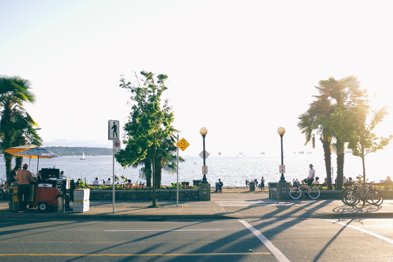 sign, people, ocean, transportation, family, beach, near, board, bicycle, plant, 4K, treelined, bike, coast, street light, water, sunny, land vehicle