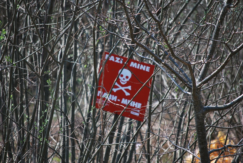 land mine, land mines, forest, trees, communication, tree, focus on foreground, white, road sign, tree trunk, information, nature, lock, day, warning sign