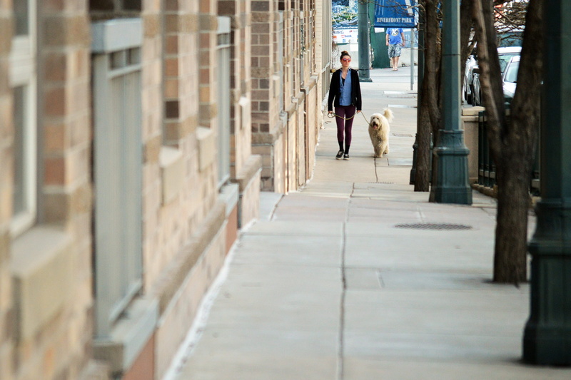 dog lover, footpath, person, dog, one animal, pet, downtown, hipster, walking, gray, sidewalk, happy, men, day, animal, building exterior, denver, female