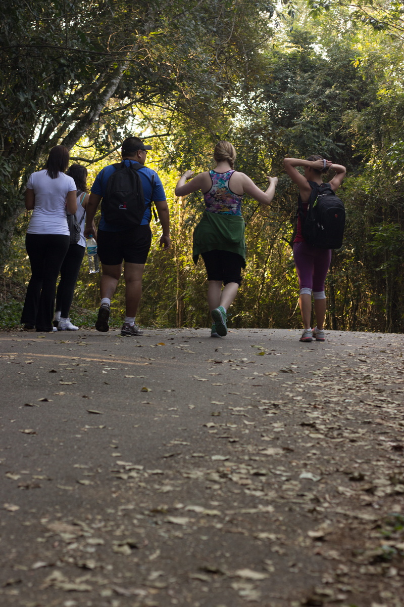 4K, trees, nature, land, pavement, leisure activity, man, rear view, footpath, gray, landscape, women, plant, road, wear, friends, togetherness, forest