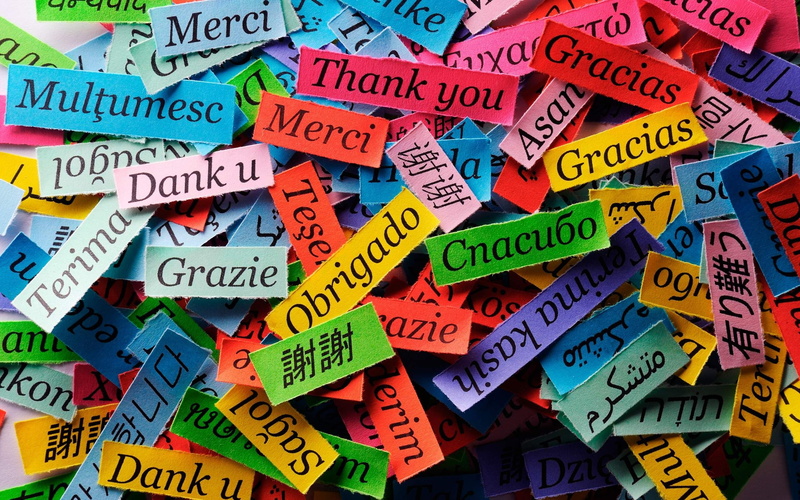 card, multi colored, thank you, communication, day, aspirations, script, close-up, paper, choice, rainbow, 2K, western script, non-western script, message