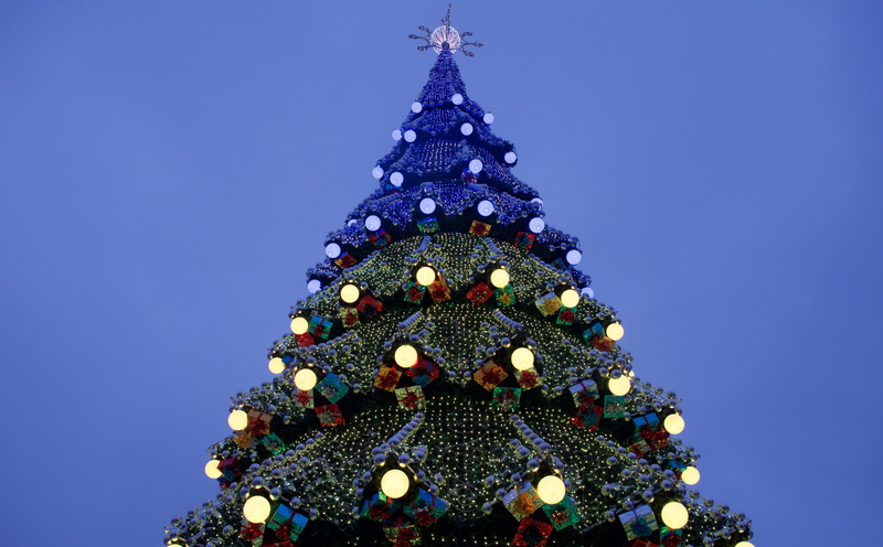 Holidays, decoration, built structure, celebration, tree, spire, illuminated, ornate, sky, christmas lights, blue, holiday, 5K, kharkiv, christmas decoration