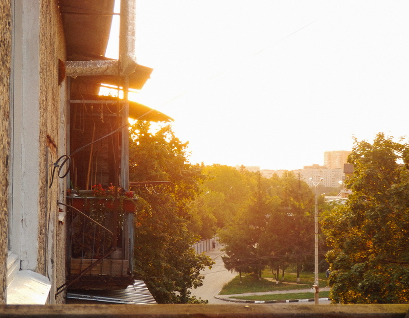 architecture, nature, building, sunlight, no people, happy, plant, tree, avenue, street, background, balcony, growth, sunset, 4K, day, kharkiv