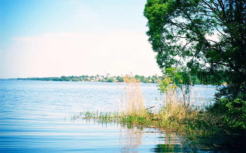 Glare, Russia, River, 1080P, Trees, Grass, Volga