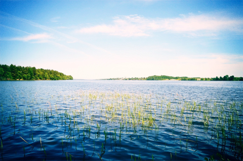 Nature, green, river, trees, Russia, the sky, 1080P, volga