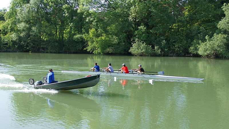 men, transportation, leisure activity, tree, sport rowing, plant, lagny-sur-marne, france, outdoors, people, cooperation, oar, sport, sculling, rowing