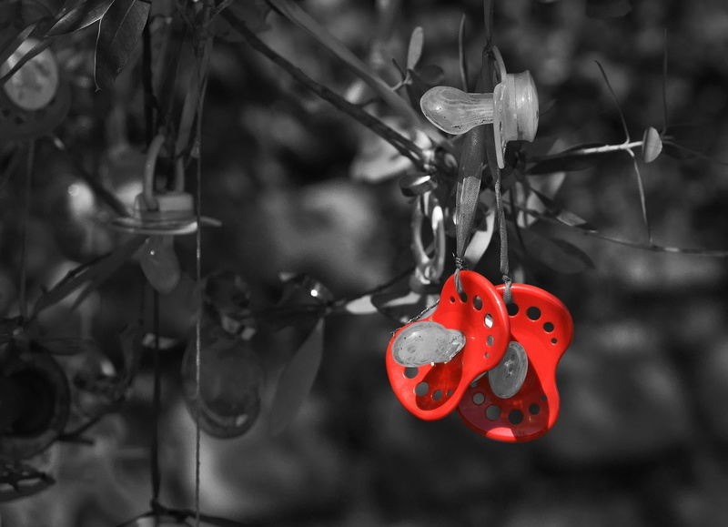 creativity, park, tradition, close-up, heart shape, food, day, pacifier, twig, outdoors, no people, holiday, tree, focus on foreground, art and craft, hanging