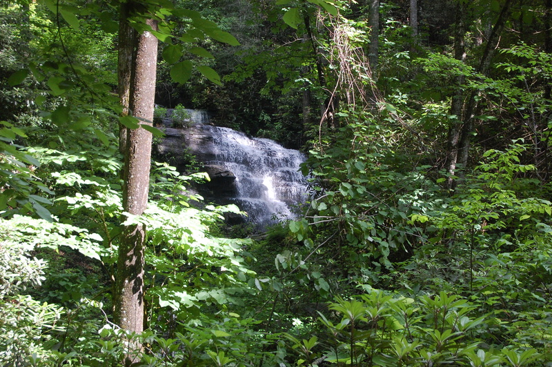 non-urban scene, brevard, falling water, flowing, waterfall, motion, growth, 2K, no people, scenics - nature, united states, nature, water, forest.pisgah