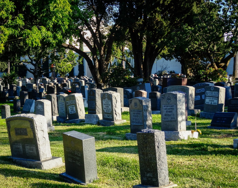 jews, the past, commemorate, outdoors, grave stones, grass, 4K, judaism, sunlight, memorial, plant, nature, sadness, jewish cemetery, california, government