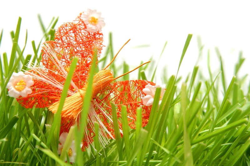themed, 2K, decoration, blade of grass, yellow, blossom, grass, selective focus, field, vulnerability, plant, crafts, springtime, day, close-up, land