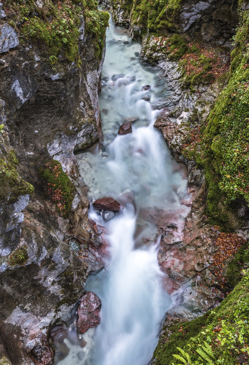 moss, day, bemoost, forest, scenics - nature, beauty in nature, flowing water, 8K, motion, mystical, landscape, atmosphere, flowing, magic forest, stones