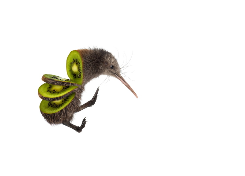 kiwi, pasare, 1080P, sarah de remer, bird, green, creative, fantasy, :D, fruit