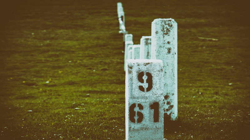 field, focus on foreground, sunlight, wood - material, land, grass, numbers, number, western script, landscape, sign, close-up, outdoors, message, white color