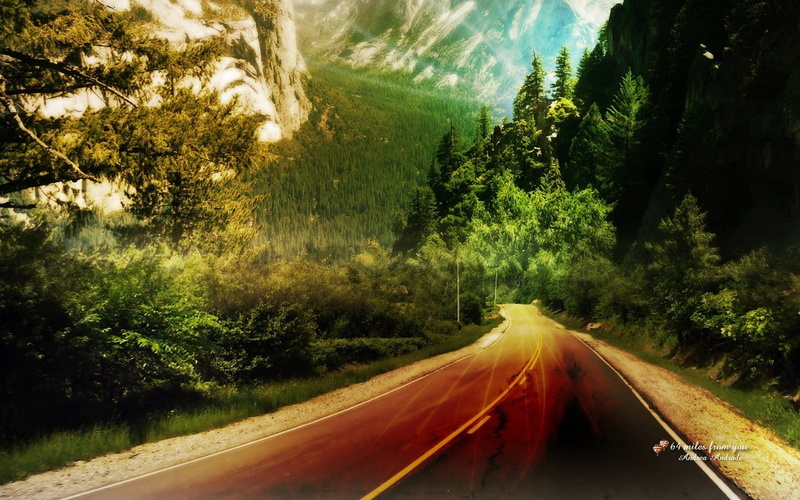 woodland, motion, road, highway, marking, growth, traffic, tranquil scene, grey, driving, wood, no People, landscape, the way forward, transportation, tranquility
