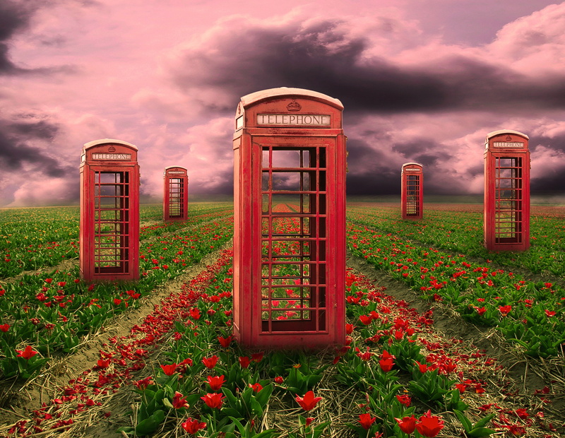 telephone, art, psychedelic, 4K, booths, flowers, field