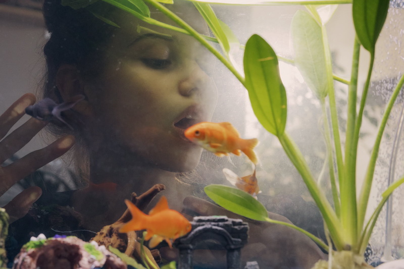 marine, women, nature, fish, animals in captivity, water, sea, aquarium, transparent, animal themes, face, underwater, 720P, animals in the wild, women indoors