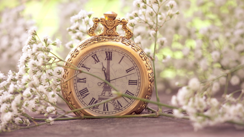 ornate, old, year, season, flowers, white, watch, flowering plant, pocket watch, alarm Clock, hour hand, plant, no People, clock hand, flower arrangement