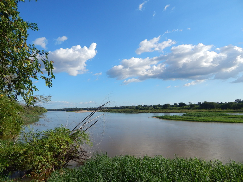 plant, tree, Nature, scenics - nature, Blue Sky, 2K, sky, lake, rio poty, grass, no people, cloud - sky, water, tranquility, green color, Rio, idyllic
