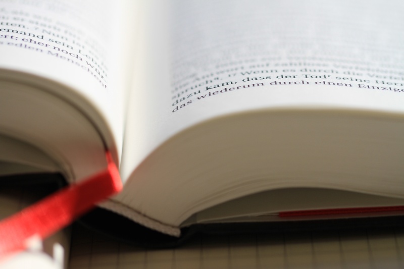 indoors, word of god, photo, bible, book, activity, 5K, studio shot, believe, christian, text, closeup, page, still life, the media, business, data, cover