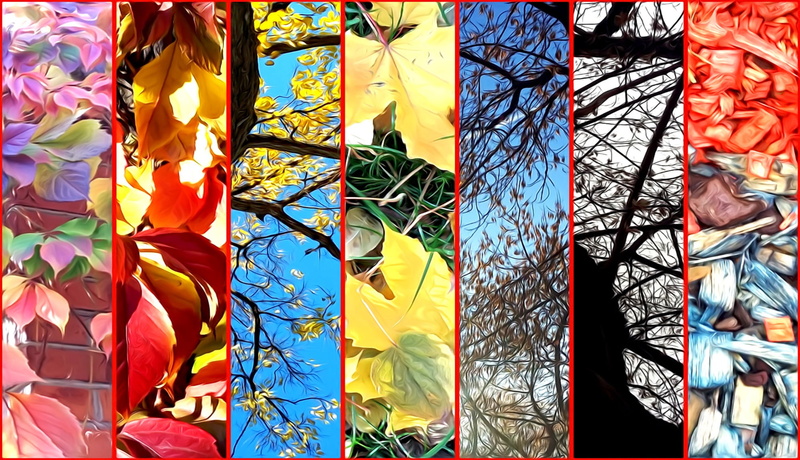 1080P, sawdust on the lawn, collage, leaves, rendering, nature, autumn, branches, trees, stage fall