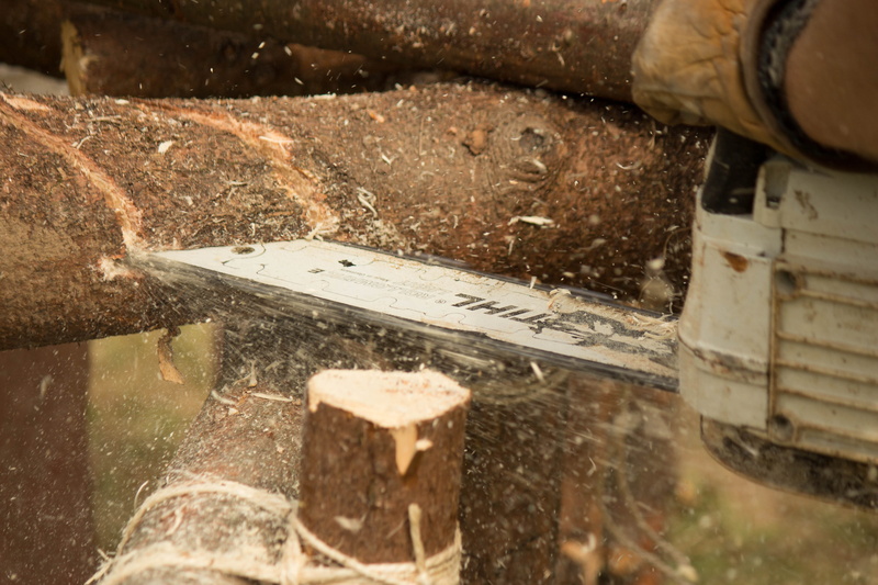 reflection, close-up, lifestyles, day, sawdust, selective focus, high angle view, woodcutter, chainsaw, one person, log, communication, focus on foreground