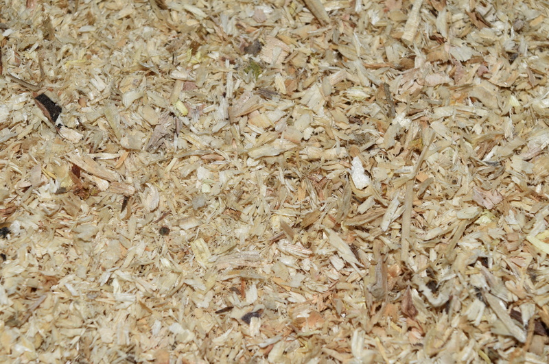 4K, wood, dry, surface, textured, rough, expression, agriculture, oats - food, cereal plant, no people, plant, abstract, nature, backgrounds