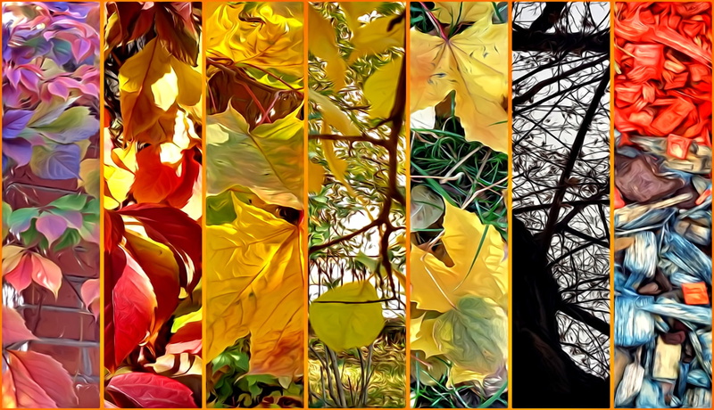 nature, collage, autumn, branches, sawdust on the lawn, trees, leaves, 1080P, rendering