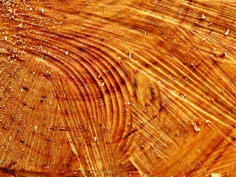 time, surface, annual rings, sawdust, natural pattern, background, wood grain, texture, brown, timber, structure, high angle view, wood - material, tree ring