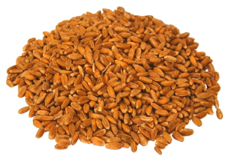 food and drink, coffee, staple food, cut out, wheat, breakfast, plant, grain, ingredient, raw food, indoors, healthy eating, snack, dietary fiber, breakfast cereal