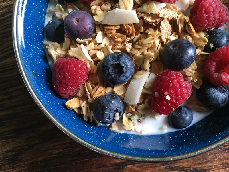 muesli, yogurt, Local, table, food, healthy, cranberries, close-up, berry fruit, no people, bowl, oatmeal, raspberry, fruit, breakfast cereal, spoon, oats - food