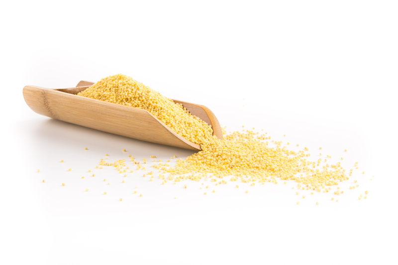 corn, freshness, agriculture, wellbeing, no people, plant, crop, corn - crop, food, 5K, studio shot, white background, nature, food and drink, meter, dietary fiber