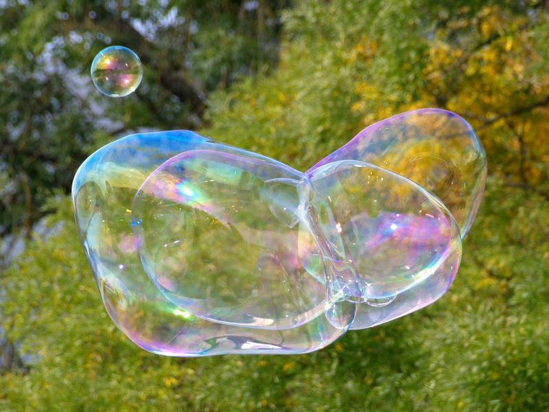 plant, 1080P, vulnerability, shiny, Soap Bubble, grass, nature, transparent, beauty in nature, bubble wand, reflection, Blubber, outdoors, tree, close-up