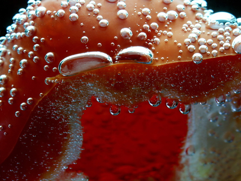 purity, splashing, nature, motion, bubble, wet, water, Air, Blubber, indoors, Blow, 2K, macro, red, refreshment, transparent, carbonated, freshness, air bubbles