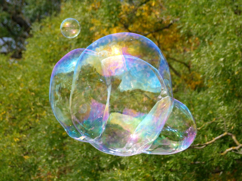 focus on foreground, lightweight, circle, large, multi colored, bubble, backgrounds, green Color, fragility, abstract, summer, blubber, reflection, day