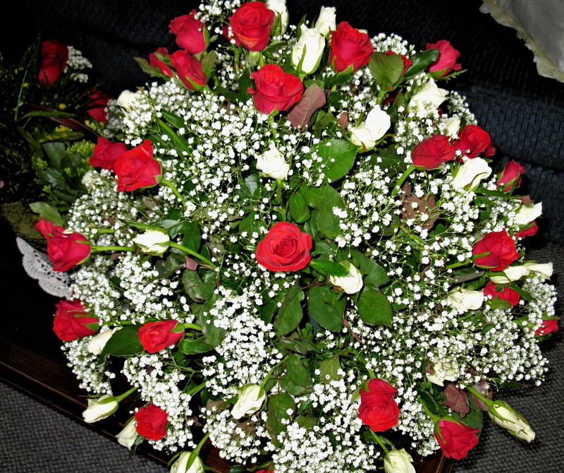 vulnerability, high angle view, flowering plant, beauty in nature, White Roses, nature, rose - flower, flowers, rose, flower head, freshness, leaf, plant part
