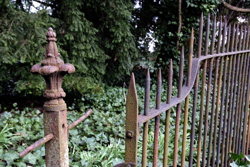 plants, 3d and abstract, brown, old, 1080P, gray, metal, good, rust, trees, days, fence
