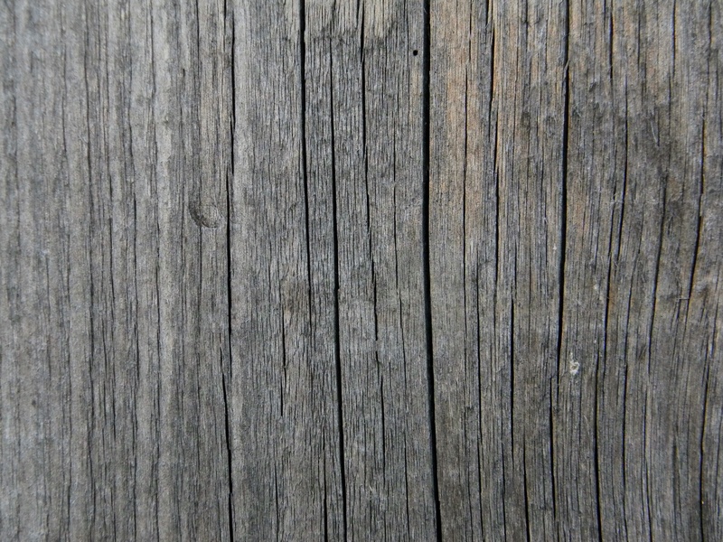 textured, rough, full frame, no people, simplicity, old, gray, fence, tree, abstract, 4K, surfac, abstract backgrounds, the texture of the wood, wood - Material