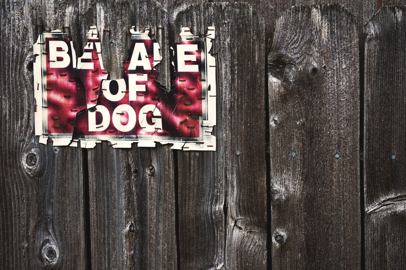 5K, text, western script, no people, communication, information, day, barrier, dog, wood, beware of dog, signage, wall - building feature, old, safety