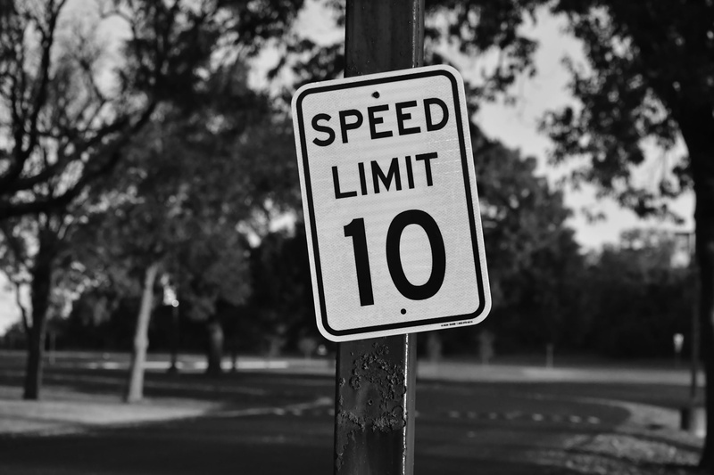 speed, stopsign, abies, plant, symbol, capital letter, guidance, park, close-up, information sign, focus on foreground, text, speed limit sign, vegetation